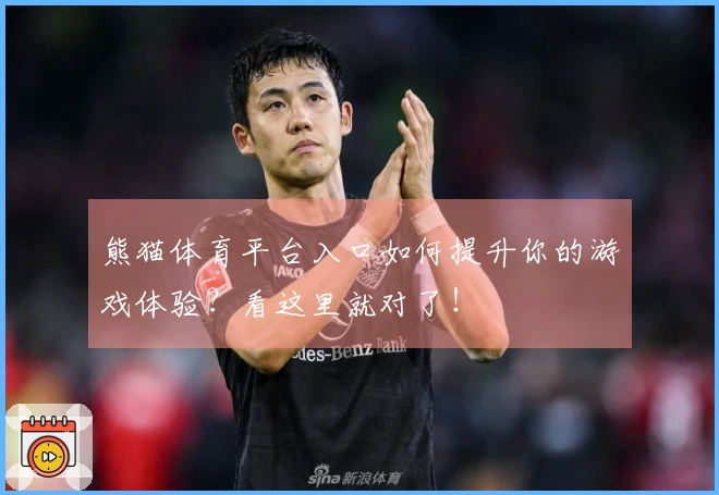 熊猫体育平台入口如何提升你的游戏体验？看这里就对了！