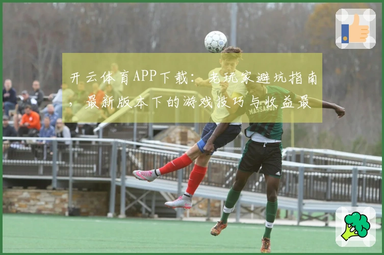 开云体育APP下载：老玩家避坑指南，最新版本下的游戏技巧与收益最大化之道