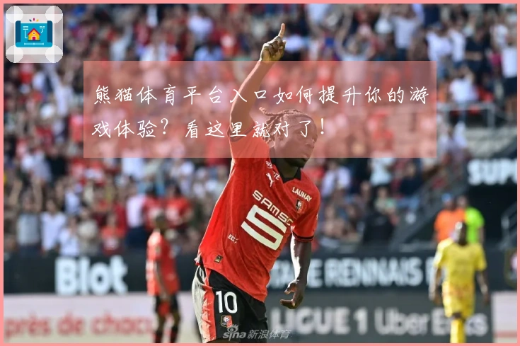 熊猫体育平台入口如何提升你的游戏体验？看这里就对了！